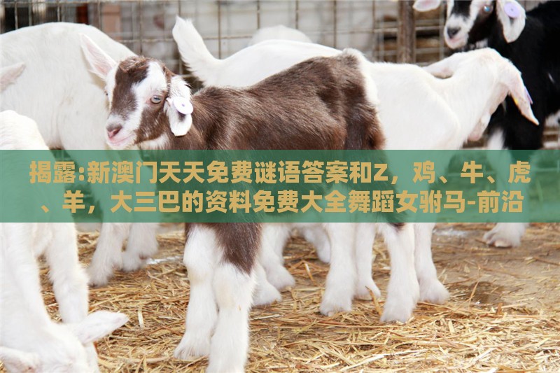 揭露:新澳门天天免费谜语答案和Z，鸡、牛、虎、羊，大三巴的资料免费大全舞蹈女驸马-前沿释义、专家解读解释与落实​,防范名不副实广告