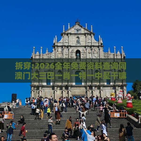 拆穿:2026全年免费资料查询同澳门大三巴一肖一特一中是干嘛的:牛、鼠、龙、兔痛点释义、专家解读解释与落实,留心伪假宣传危害